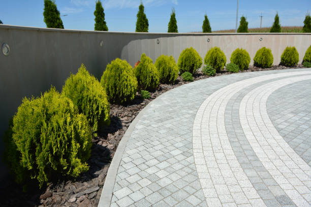 Best Affordable Driveway Paving  in Lillington, NC